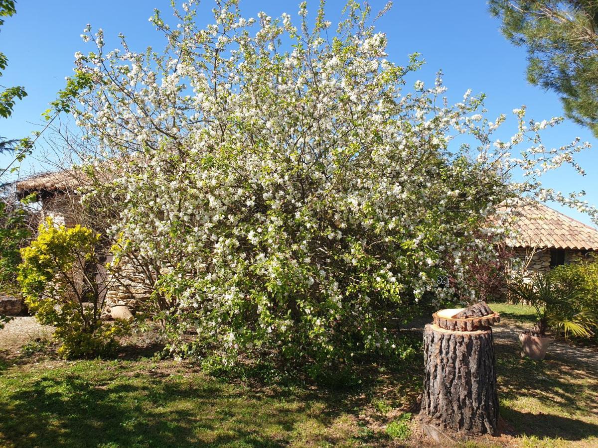 Le Clos D'Almide Monestier  ภายนอก รูปภาพ