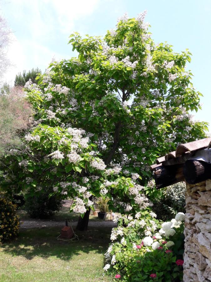 Le Clos D'Almide Monestier  ภายนอก รูปภาพ
